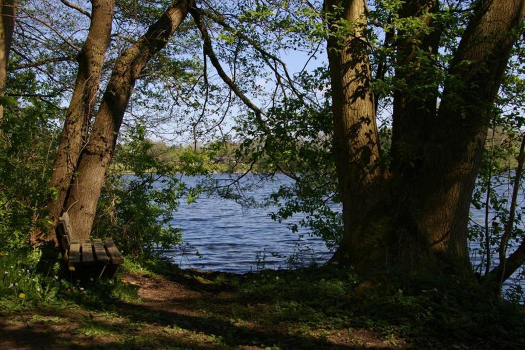 Fewo Am See 15A Klein Wittensee Exteriér fotografie